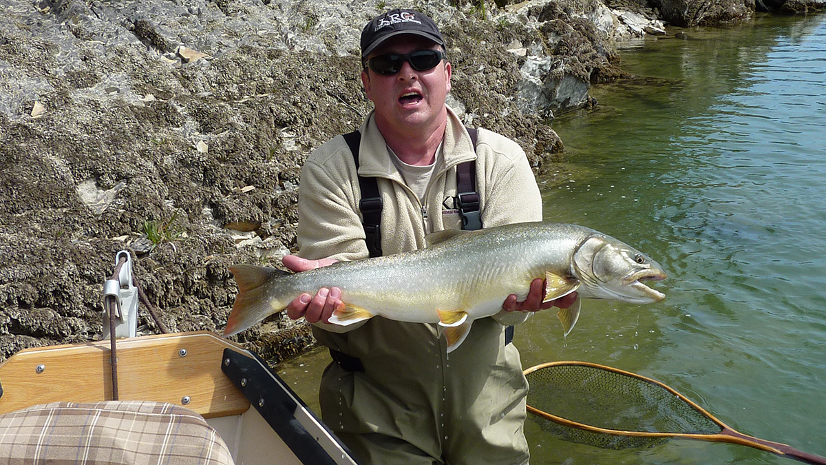 Bull Trout