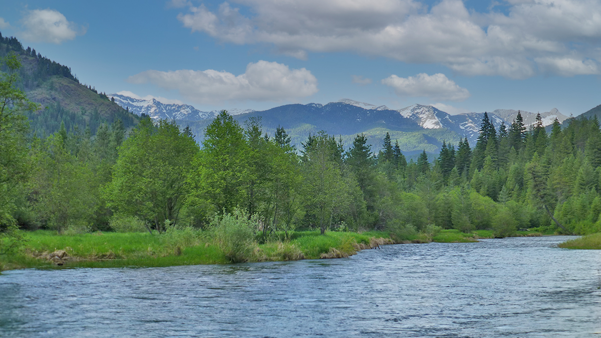 Bull River Montana