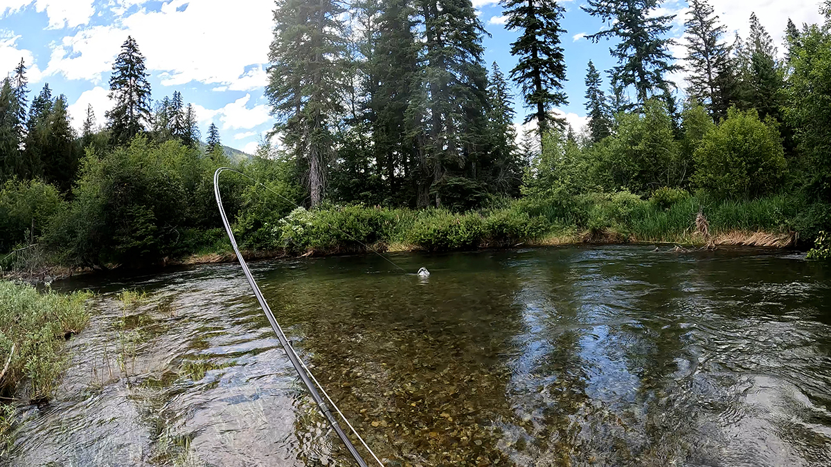 Fly Fishing Small Streams