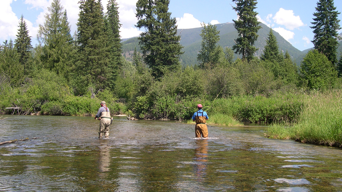 Fly Fishing